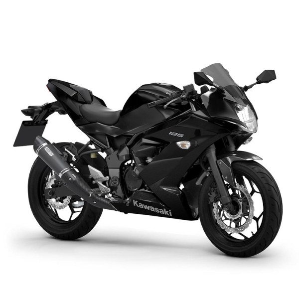 Kawasaki Ninja 125 New