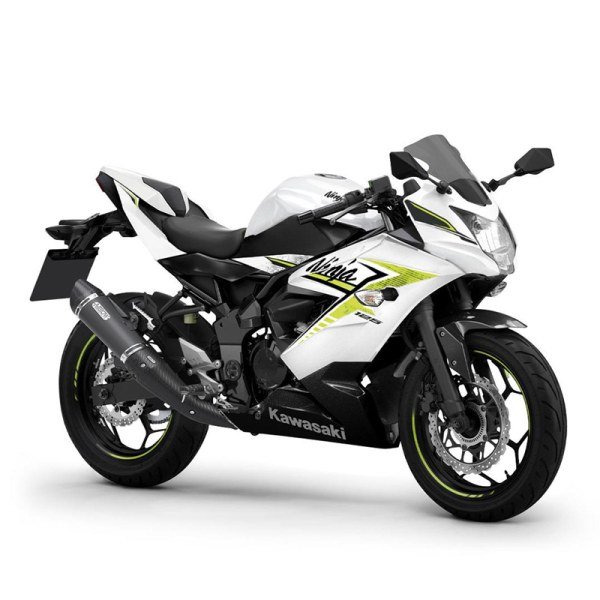 Kawasaki Ninja 125 New