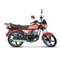 Roadmaster Rex 80