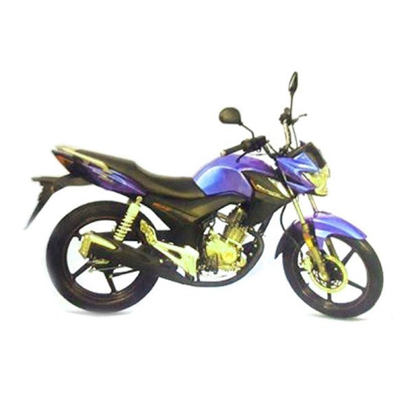 Roadmaster Velocity 100